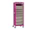 Villard Eolis Medication Cabinet with Roller Shutter (21 Modules)